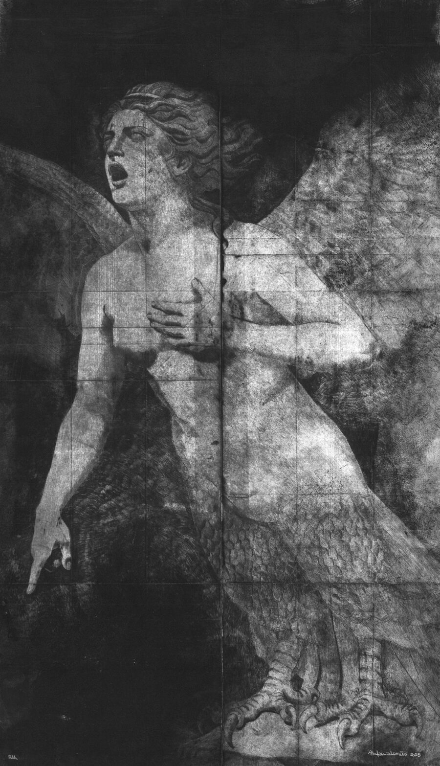 Sirena greca, 2025, puntasecca su tetrapak, 750 x 430 mm
